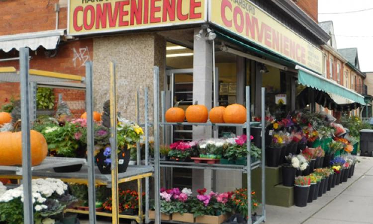 Picture of Harbord Convenience storefront